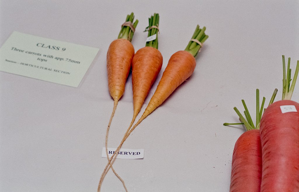 Ipstones Agricultural Show 2015