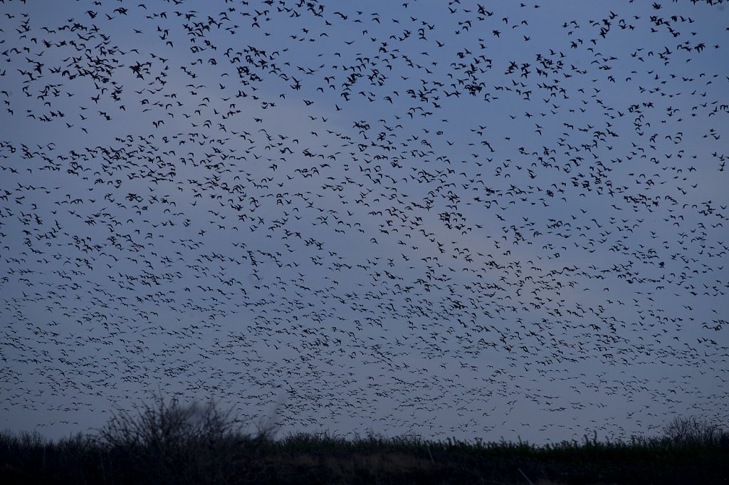 ©Si Barber. Moral rights asserted.