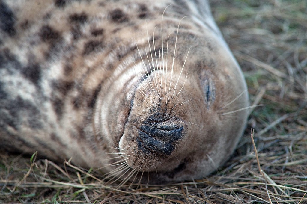 ©Si Barber. Moral rights asserted.