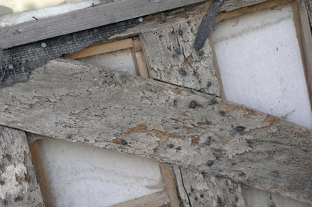 ©Si Barber. Moral rights asserted.