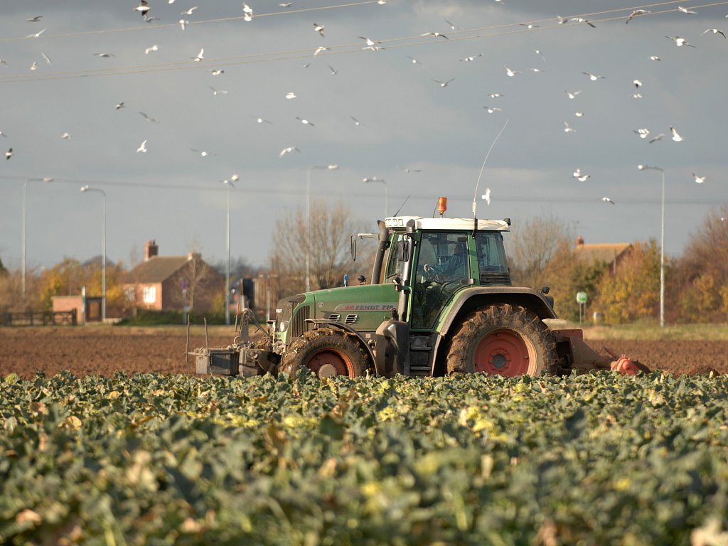 ©Si Barber. Moral rights asserted.