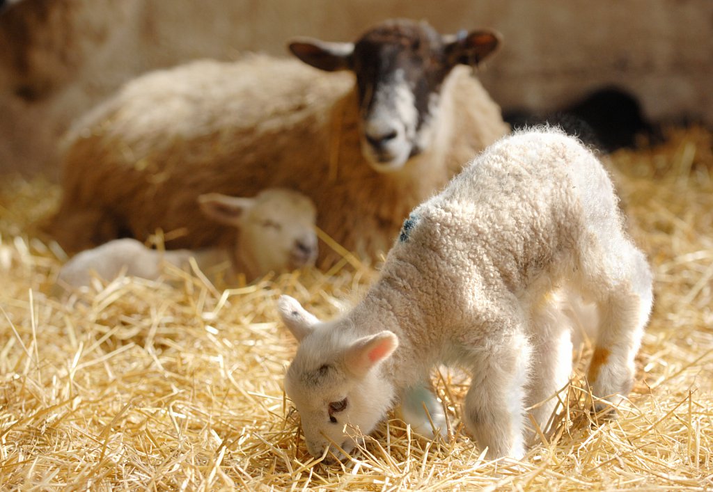 ©Si Barber Moral rights asserted.