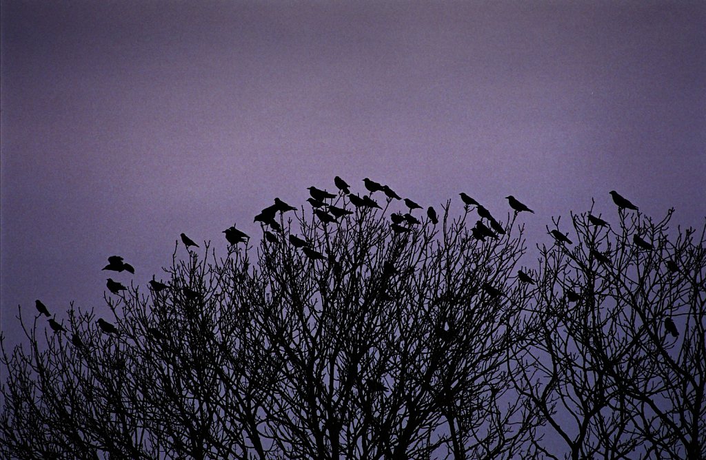 ©Si Barber. Moral rights asserted.