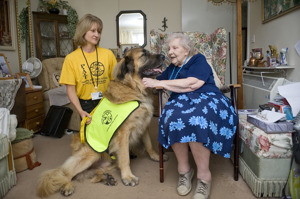 ©Si Barber. Moral rights asserted.