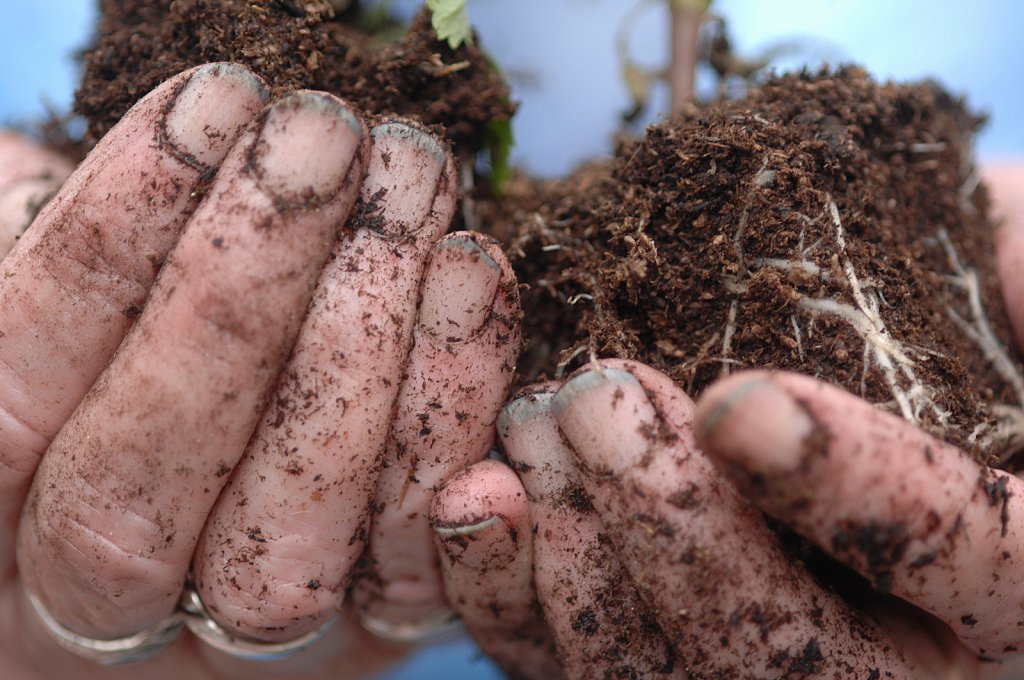 ©Si Barber. Moral rights asserted