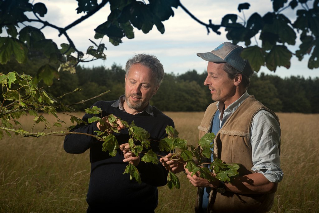 Somerleyton Rewilding
