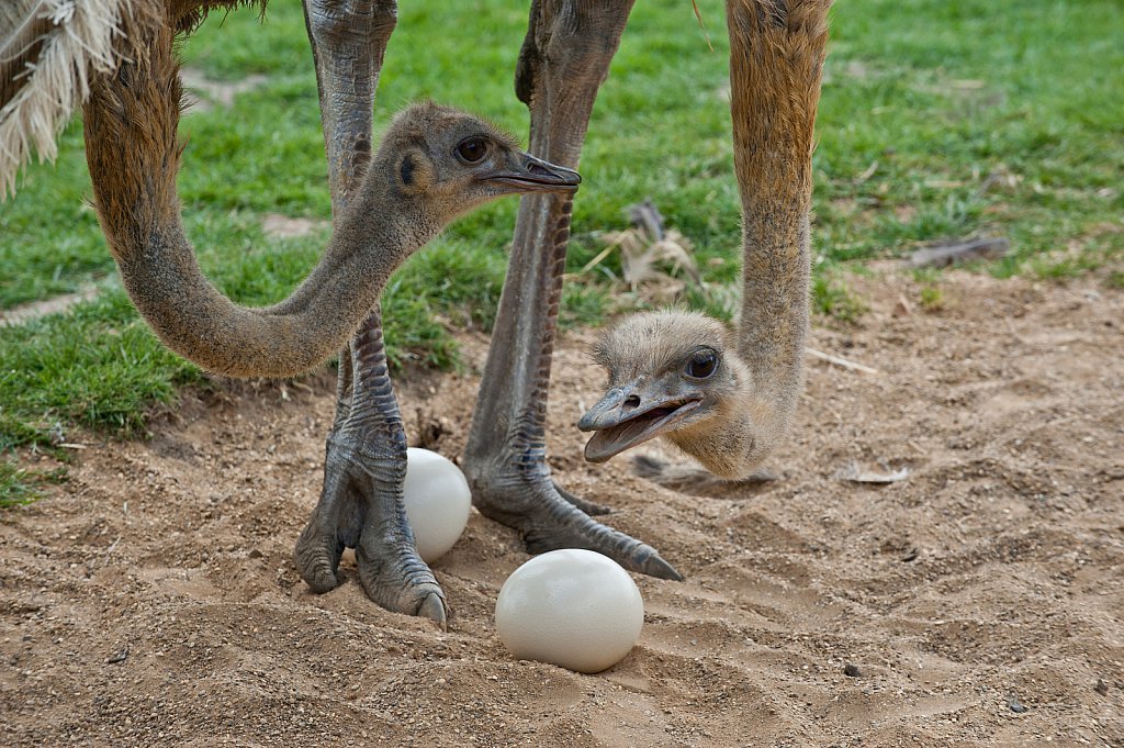 ©Si Barber. Moral Rights Asserted